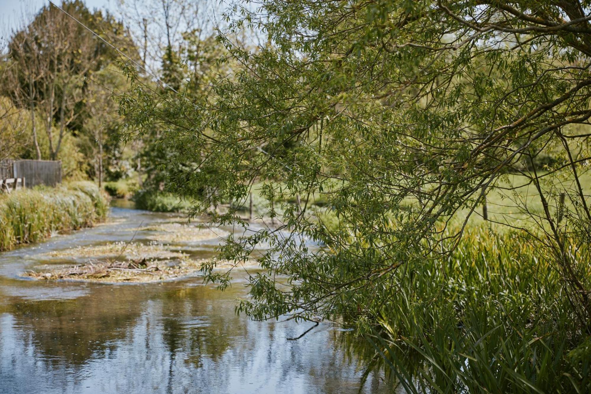 The Bucks Head Bed and Breakfast Carhampton Εξωτερικό φωτογραφία