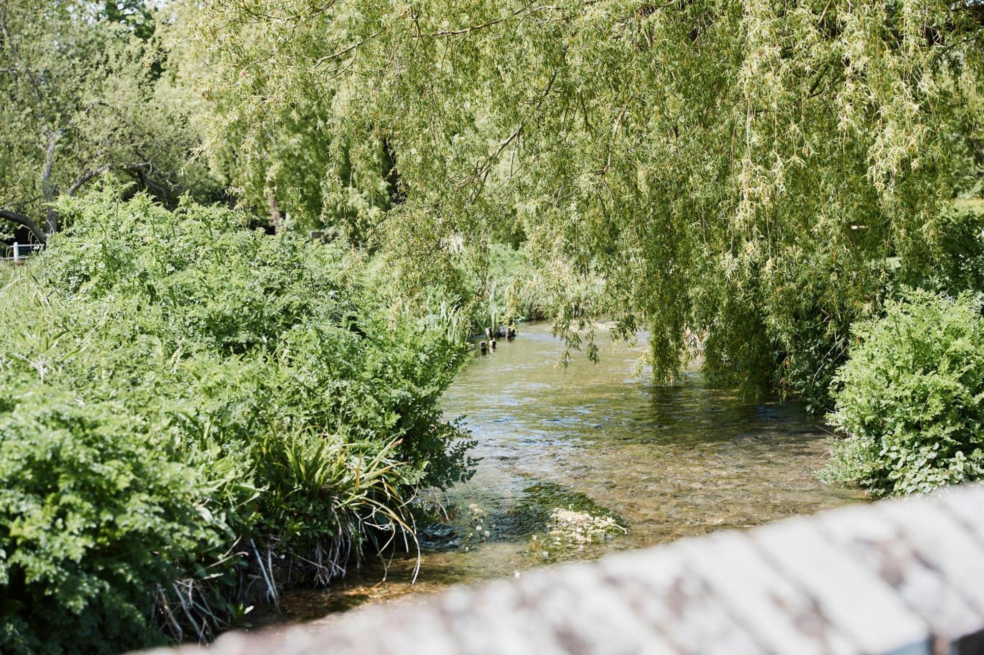 The Bucks Head Bed and Breakfast Carhampton Εξωτερικό φωτογραφία